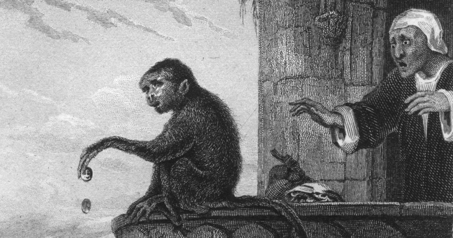 A monkey throws coins into the sea as a man looks on in horror.
